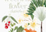 illustrate a fruit, plant or flower